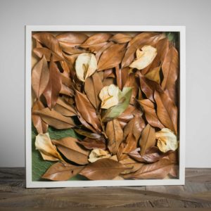 Foglie al vento - materiali: foglie di magnolia grandiflora, fiori di calle, rete metallica, cartoncino colorato - 50x50 cm